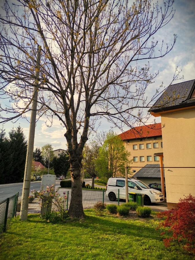 Apartma Vila Tara Prebold Eksteriør billede